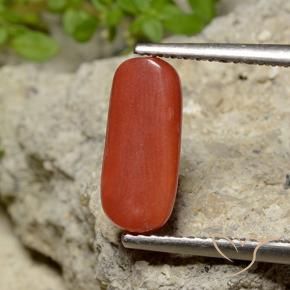 9,17 ctw natürlicher orange-rot Koralle, Oval, Lichtundurchlässig