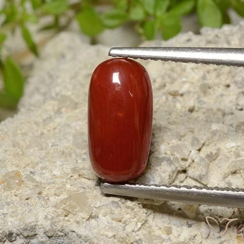 2.06ct Natürlicher Feuerrot Koralle, Oval, Lichtundurchlässig