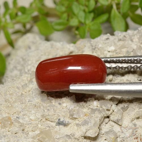 9,17 ctw natürlicher Feuerrot Koralle, Oval, Lichtundurchlässig