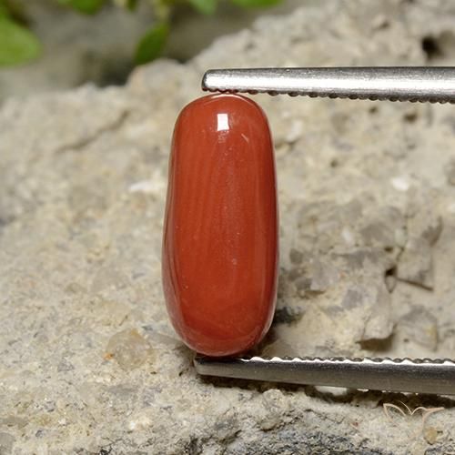 1.79ct Natürlicher orange-rot Koralle, Oval, Lichtundurchlässig