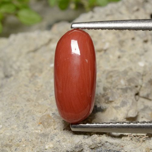 2.04ct Natürlicher Mittelrot Koralle, Oval, Lichtundurchlässig, Photo A