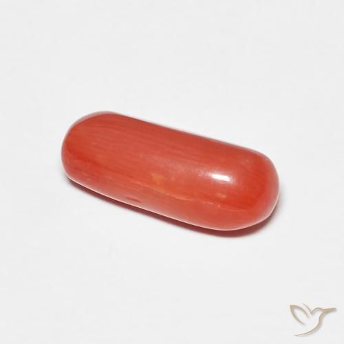 9,17 ctw natürlicher orange-rot Koralle, Oval, Lichtundurchlässig