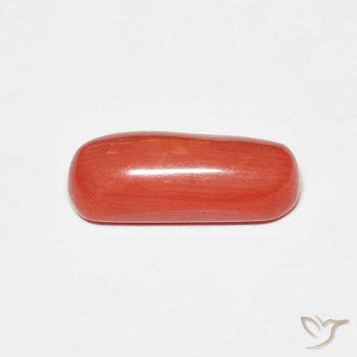 9,17 ctw natürlicher orange-rot Koralle, Oval, Lichtundurchlässig