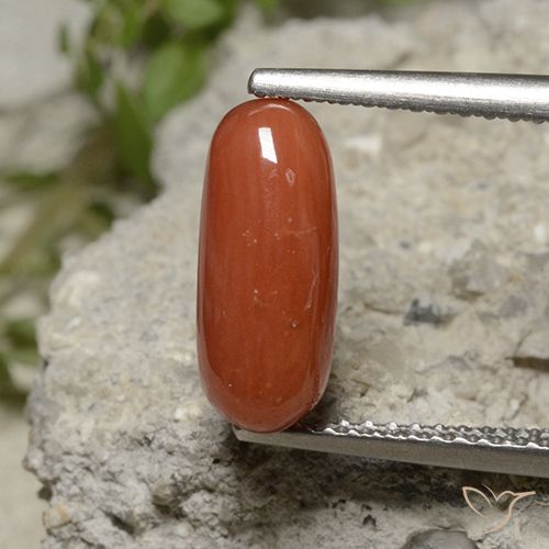 2.11ct Natürlicher Hellrot Koralle, Oval, Lichtundurchlässig, Photo A