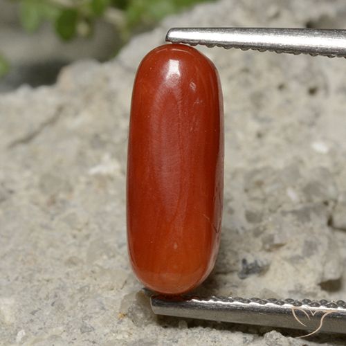 2.13ct Natürlicher Mittelrot Koralle, Oval, Lichtundurchlässig