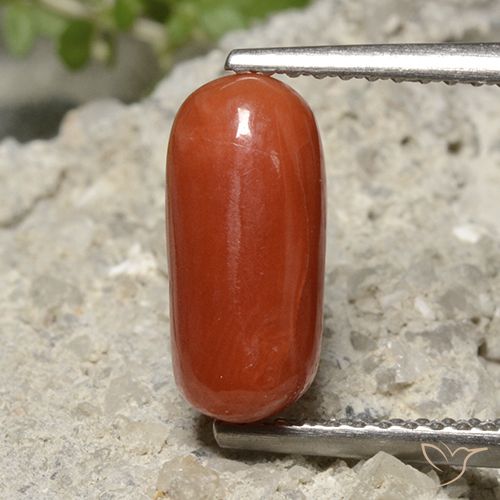 2.26ct Natürlicher Mittelrot Koralle, Oval, Lichtundurchlässig