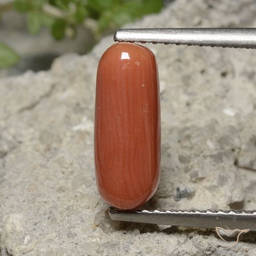 2.25ct Natürlicher Feuerorange Koralle, Oval, Lichtundurchlässig