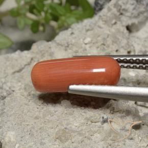 9,17 ctw natürlicher Feuerorange Koralle, Oval, Lichtundurchlässig