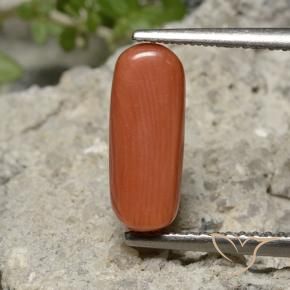 9,17 ctw natürlicher Feuerorange Koralle, Oval, Lichtundurchlässig