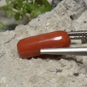 9,17 ctw natürlicher orange-rot Koralle, Oval Schliff, Lichtundurchlässig