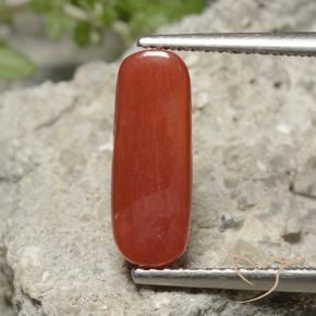 9,17 ctw natürlicher orange-rot Koralle, Oval, Lichtundurchlässig