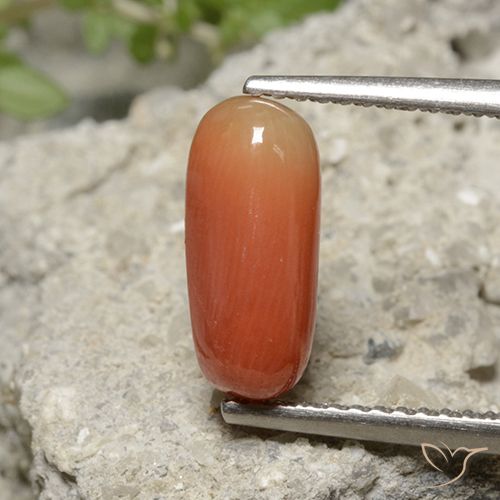 2.36ct Natürlicher Feuerorange Koralle, Oval, Lichtundurchlässig