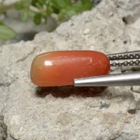 9,17 ctw natürlicher Feuerorange Koralle, Oval, Lichtundurchlässig
