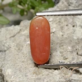 9,17 ctw natürlicher Feuerorange Koralle, Oval, Lichtundurchlässig