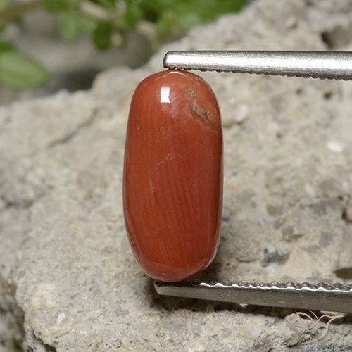 2.05ct Natürlicher Mittelorange Koralle, Oval, Lichtundurchlässig