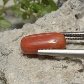 9,17 ctw natürlicher Mittelorange Koralle, Oval, Lichtundurchlässig