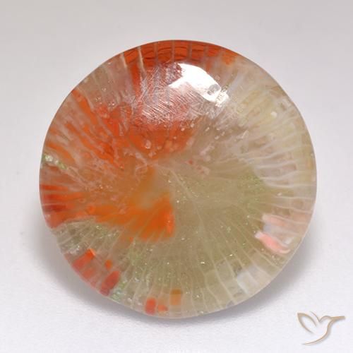 9.29ct Natürlicher Mehrfarbig Koralle, Runden, Lichtdurchlässig, Photo A