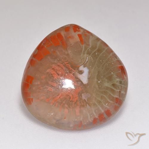 9.67ct Natürlicher Mehrfarbig Koralle, Birnenform, Lichtdurchlässig, Photo A