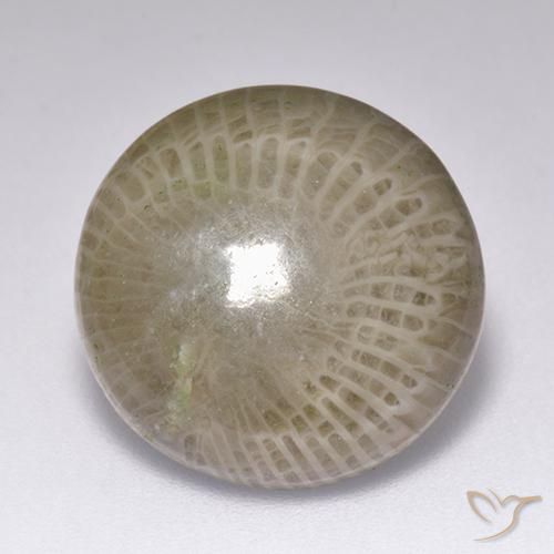 9.39ct Natürlicher Mehrfarbig Koralle, Runden, Lichtundurchlässig, Photo A