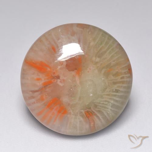 7.51ct Natürlicher Mehrfarbig Koralle, Runden, Lichtdurchlässig, Photo A