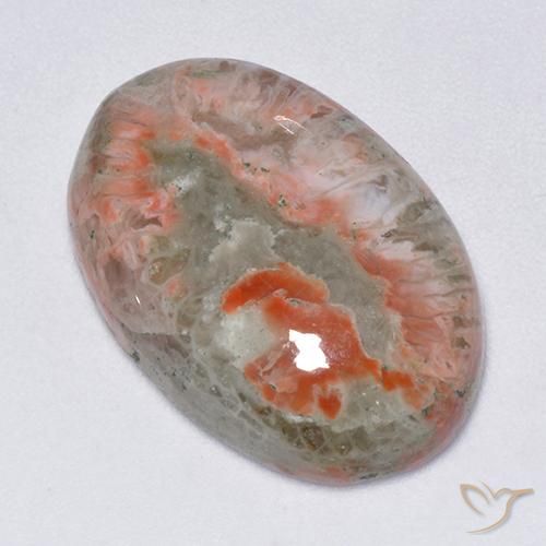 13.71ct Natürlicher Mehrfarbig Koralle, Oval, Lichtdurchlässig