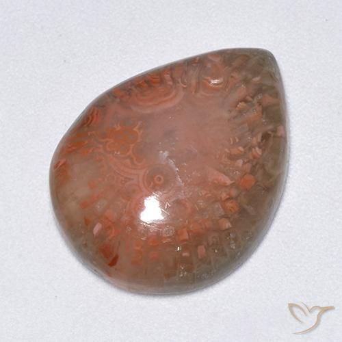 9.51ct Natürlicher Mehrfarbig Koralle, Birnenform, Lichtdurchlässig, Photo A