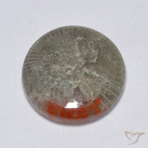 6.25ct Natürlicher Mehrfarbig Koralle, Runden, Lichtdurchlässig