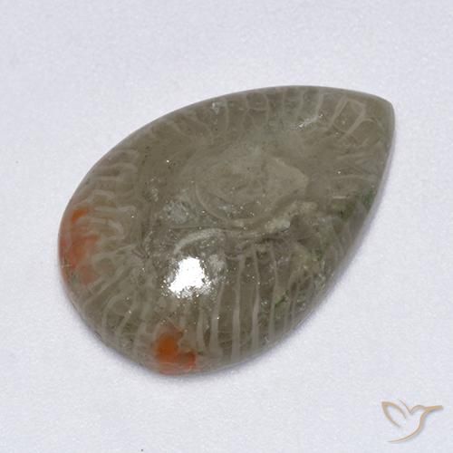 5.79ct Natürlicher Mehrfarbig Koralle, Birnenform, Lichtdurchlässig, Photo A