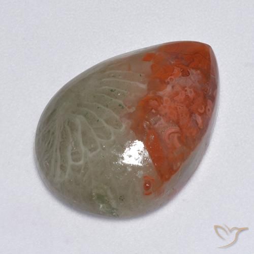 8.14ct Natürlicher Mehrfarbig Koralle, Birnenform, Lichtdurchlässig