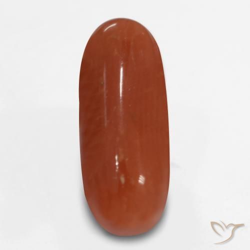 2.47ct Natürlicher Feuerrot Koralle, Oval, Lichtundurchlässig