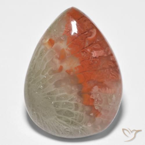 10.86ct Natürlicher Mehrfarbig Koralle, Birnenform, Lichtdurchlässig