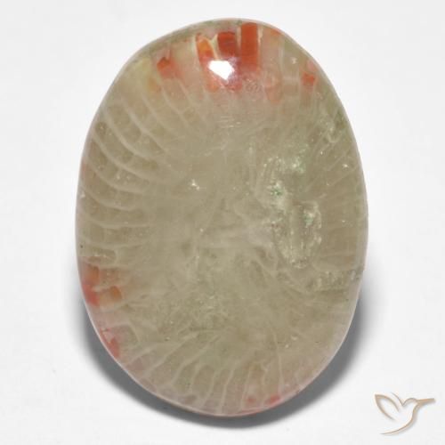 8.81ct Natürlicher Mehrfarbig Koralle, Oval, Lichtdurchlässig