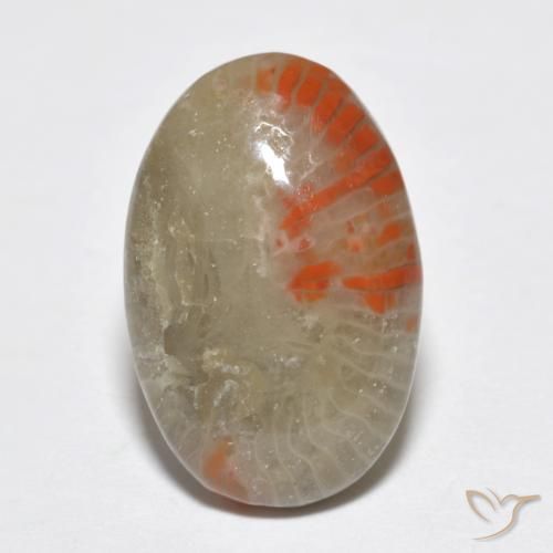 6.51ct Natürlicher Mehrfarbig Koralle, Oval, Lichtdurchlässig