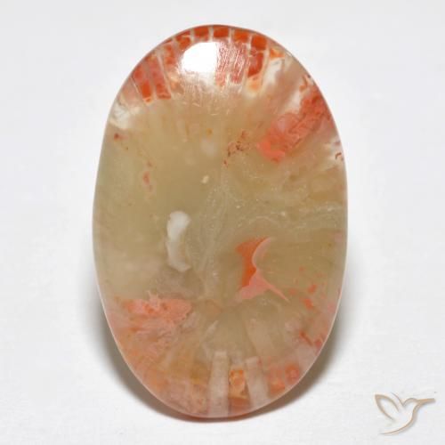 6.23ct Natürlicher Mehrfarbig Koralle, Oval, Lichtdurchlässig, Photo A