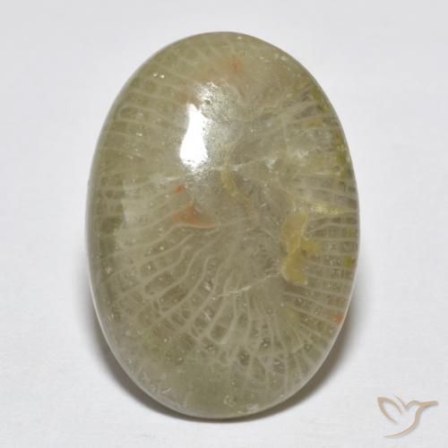 7.96ct Natürlicher Mehrfarbig Koralle, Oval, Lichtundurchlässig