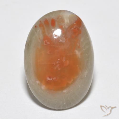 7.46ct Natürlicher Mehrfarbig Koralle, Oval, Lichtdurchlässig