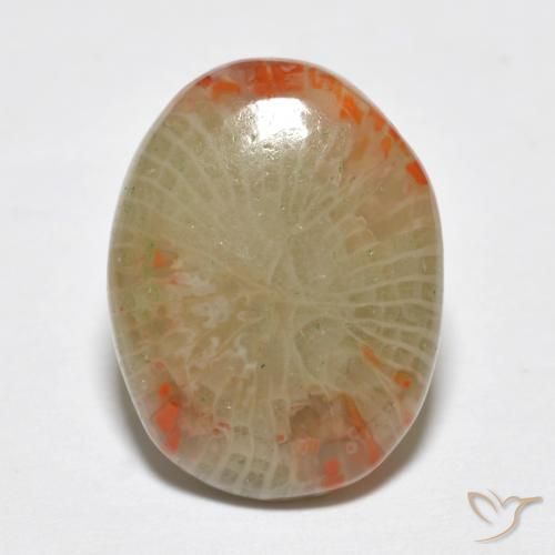 5.78ct Natürlicher Mehrfarbig Koralle, Oval, Lichtdurchlässig