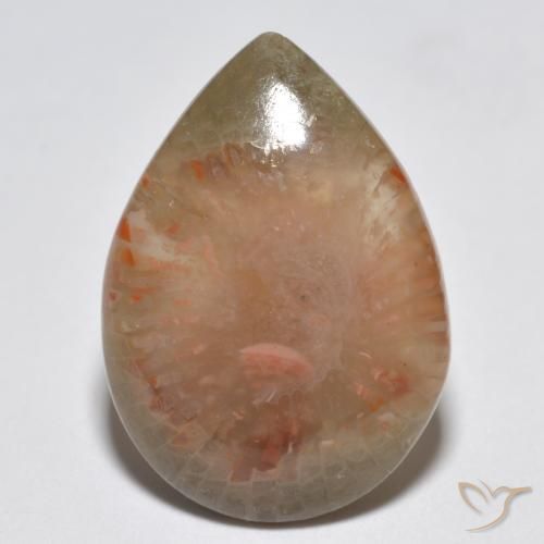 6.81ct Natürlicher Mehrfarbig Koralle, Birnenform, Lichtdurchlässig