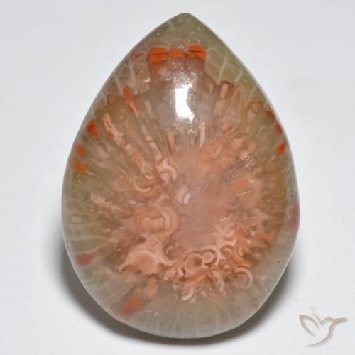 11.49ct Natürlicher Mehrfarbig Koralle, Birnenform, Lichtundurchlässig, Photo A