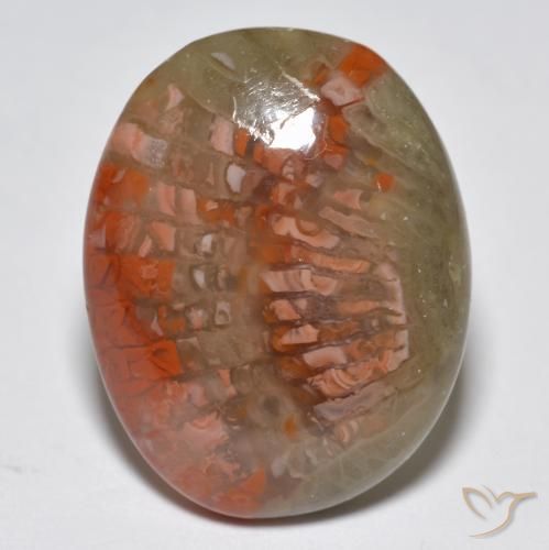 10.87ct Natürlicher Mehrfarbig Koralle, Oval, Lichtdurchlässig