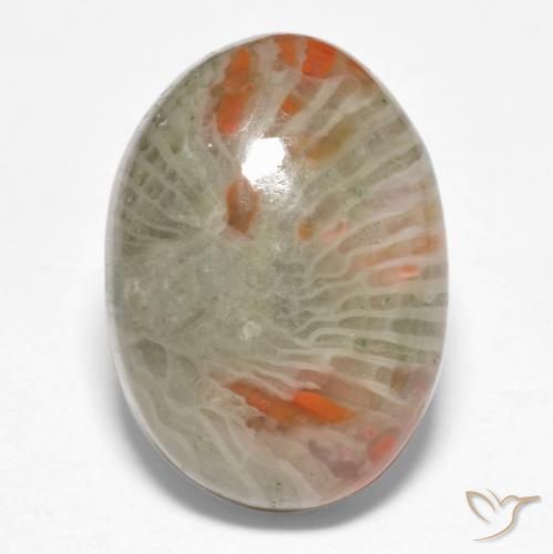 6.74ct Natürlicher Mehrfarbig Koralle, Oval, Lichtundurchlässig