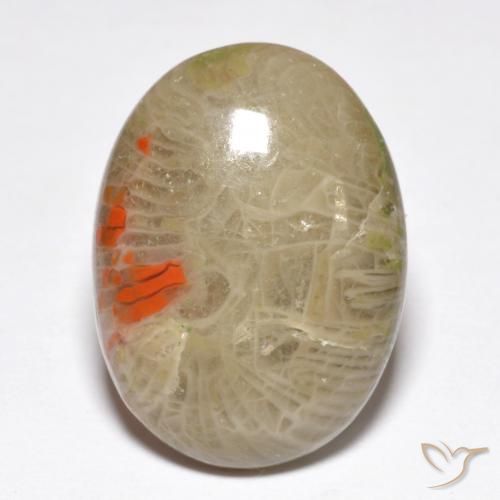10.40ct Natürlicher Mehrfarbig Koralle, Oval, Lichtundurchlässig