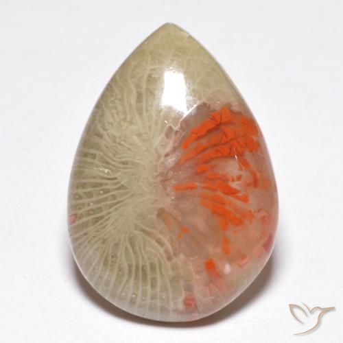 10.46ct Natürlicher Mehrfarbig Koralle, Birnenform, Lichtdurchlässig