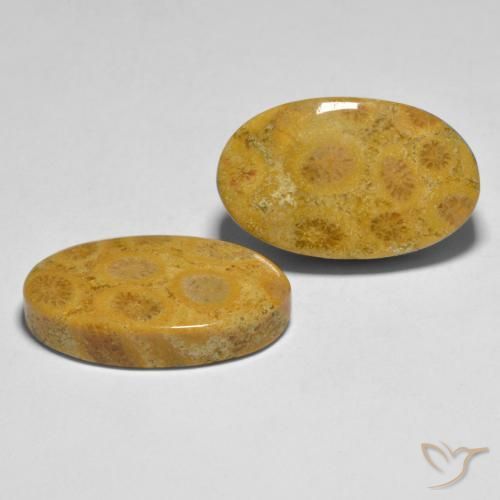 27.44 ct natürliche Mehrfarbig Koralle-Edelsteine, Oval, Lichtundurchlässig