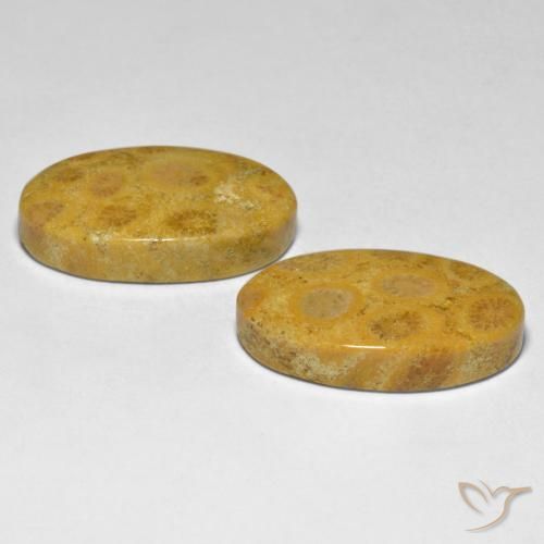 27.44 ct natürliche Mehrfarbig Koralle-Edelsteine, Oval, Lichtundurchlässig