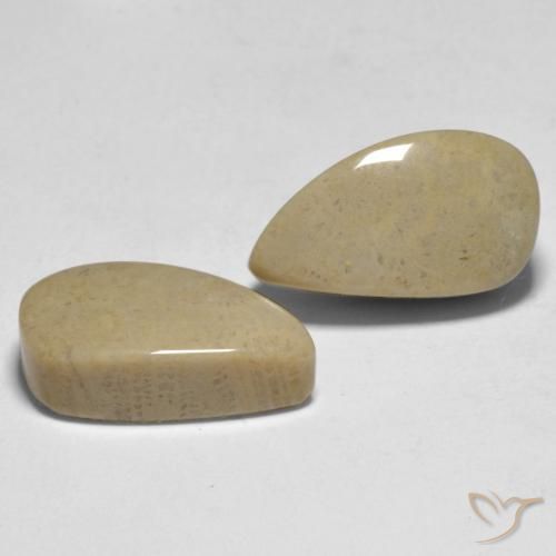 16.75 ct natürliche Mehrfarbig Koralle-Edelsteine, Fantasie, Lichtundurchlässig