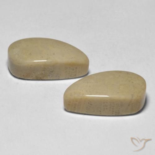 16.75 ct natürliche Mehrfarbig Koralle-Edelsteine, Fantasie, Lichtundurchlässig