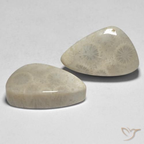 21.04 ct natürliche Mehrfarbig Koralle-Edelsteine, Fantasie, Lichtundurchlässig
