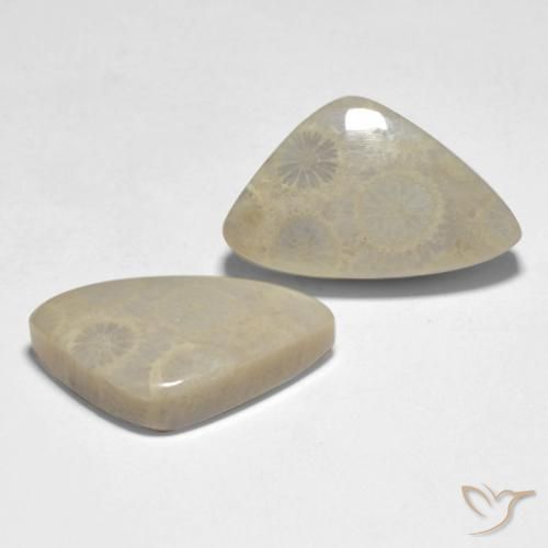 19.10 ct natürliche Mehrfarbig Koralle-Edelsteine, Fantasie, Lichtundurchlässig