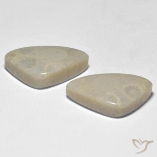 19.10 ct natürliche Mehrfarbig Koralle-Edelsteine, Fantasie, Lichtundurchlässig